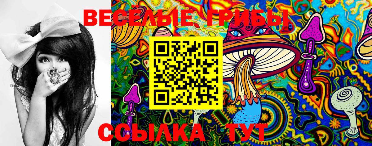 Галлюциногенные грибы GOLDEN TEACHER Сафоново